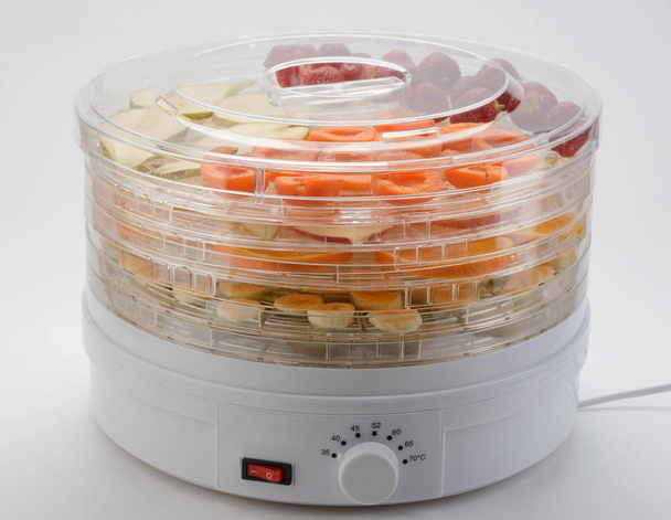 Electric dehydrator packed with fruits - Fotografie, Obrázek