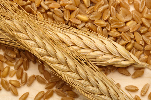 Orelhas de trigo com grãos de trigo em madeira
 - Foto, Imagem