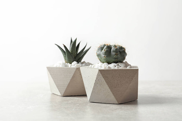 Beautiful succulent plants in stylish flowerpots on table against white background. Home decor - Foto, immagini