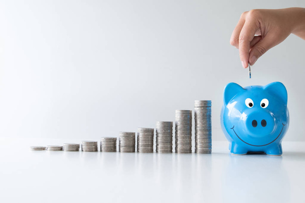 blue piggy bank with coins bar graph, step up start up  business to success, Saving money for future plan and retirement fund concept - Photo, Image