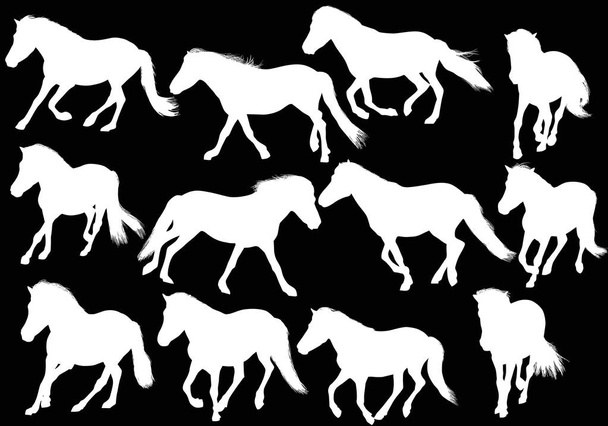 dwanaście białych koni na czarno - Wektor, obraz