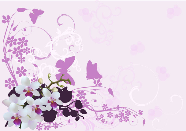  orchideeën in roze bloemen en vlinder decoratie - Vector, afbeelding