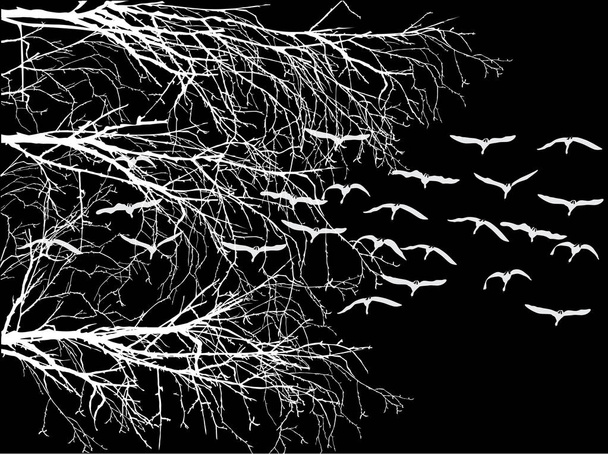 white bare branches and flying swans isolated on black - Vector, Image