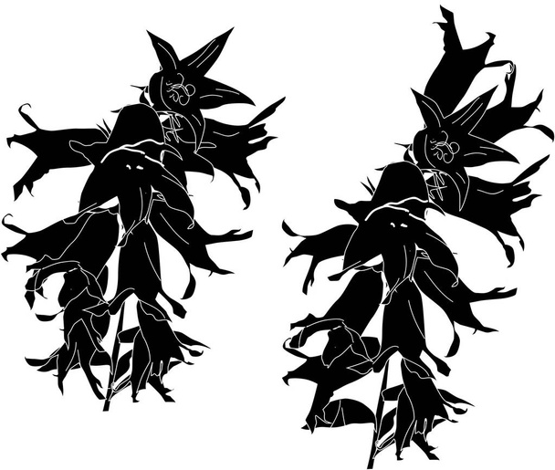 due fiori di mirtillo silhouette nere - Vettoriali, immagini