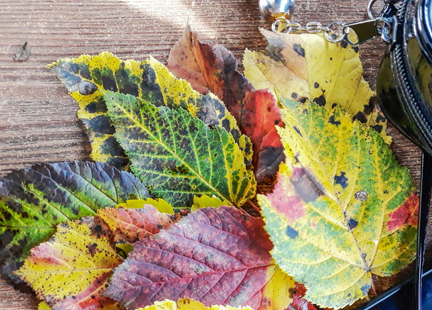 Feuilles de couleur automne sur table en bois. Contexte
. - Photo, image