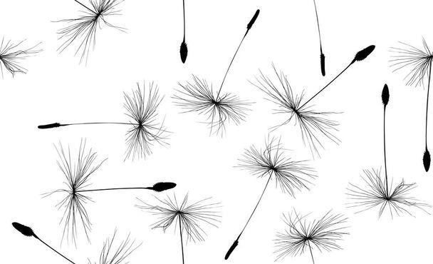 black dandelion large seeds seamless background - Vector, Image