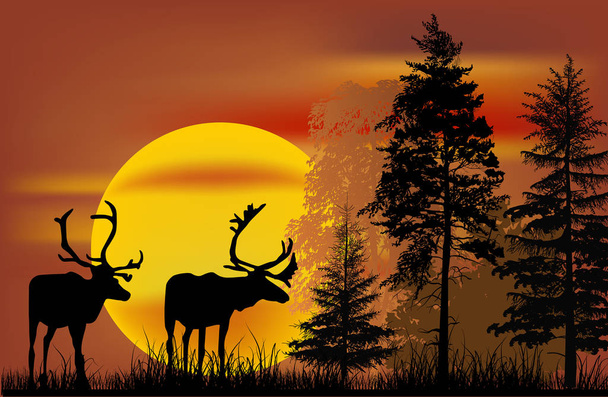 two deers silhouettes and large sun - Vector, Image