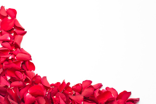 czerwone płatki róż - Zdjęcie, obraz