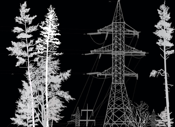 grey electric power pylons between high pines - Vector, Image