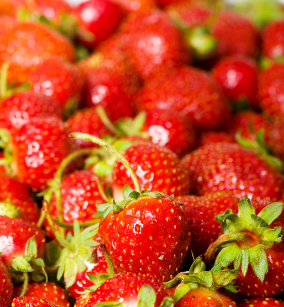 Red strawberries isolated on the white - Valokuva, kuva