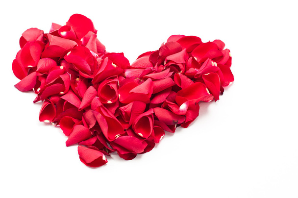 Corazón de los pétalos de rosas rojas aisladas sobre blanco
 - Foto, imagen