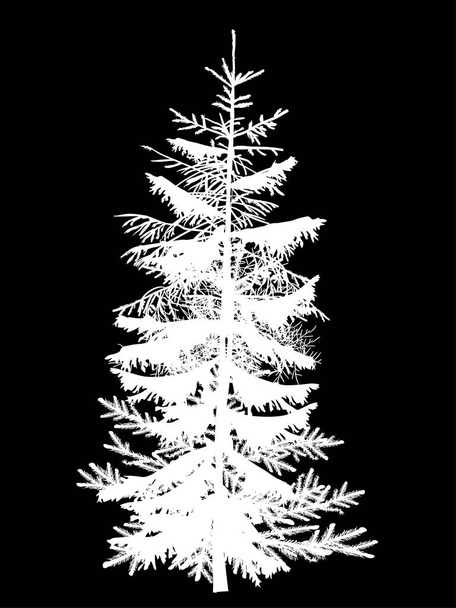одинарний білий силует ялиці ізольований на чорному
 - Вектор, зображення