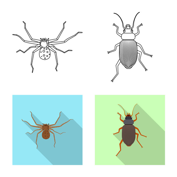 Vector design of insect and fly icon. Set of insect and element vector icon for stock. - Vektor, obrázek