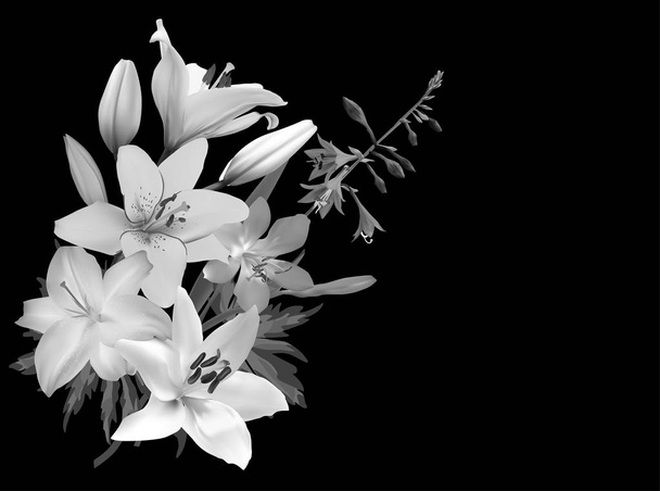 μια δέσμη γκρίζων που απομονώνονται σε μαύρα λουλούδια κρίνου - Διάνυσμα, εικόνα