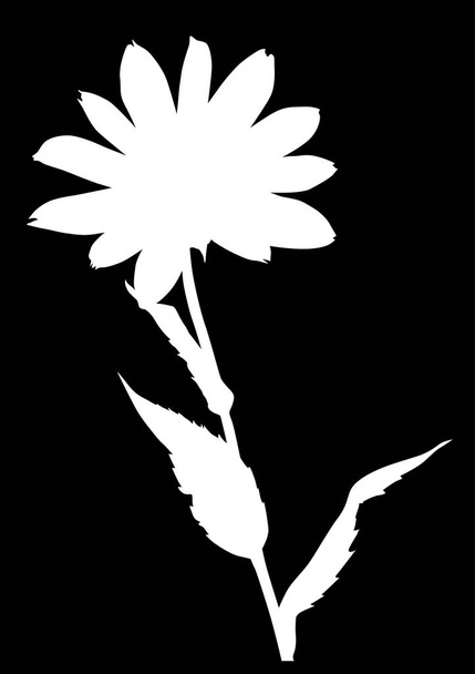 garden white large flower silhouette on black - Vektor, kép