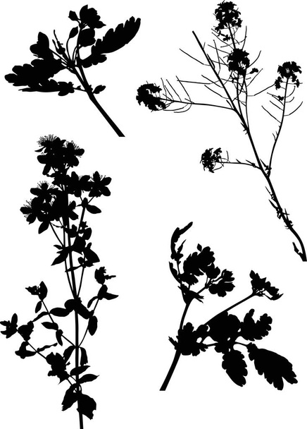four black wild flowers silhouettes on white - Vector, Image