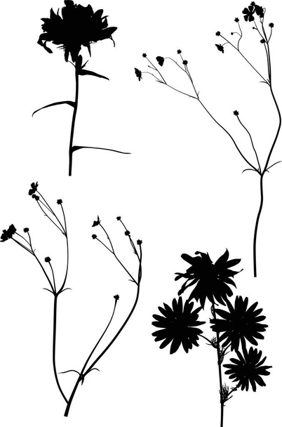 four wild flowers silhouettes on white - Vektori, kuva