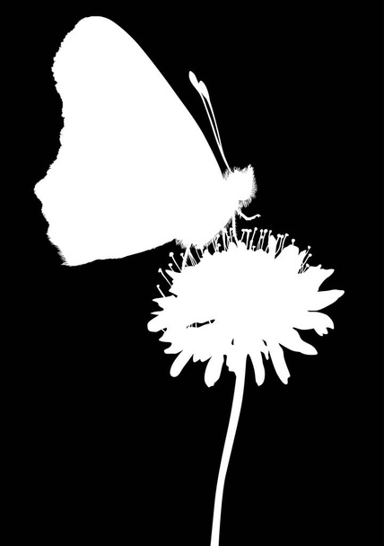 witte vlinder op grote wilde bloem - Vector, afbeelding