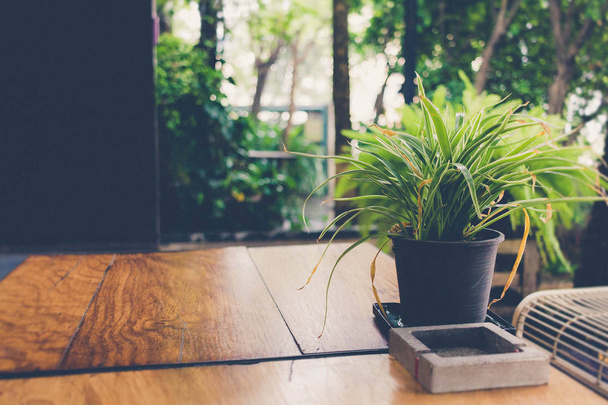 Cactus in the pot on wooden table. - Fotoğraf, Görsel
