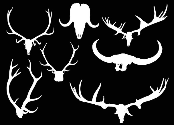 set of antler and horns isolated on black - Vector, Image