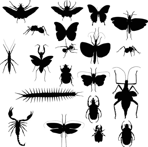 kolekcja z dwudziestoma czarnymi owadami - Wektor, obraz