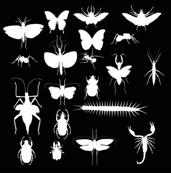 collection with twenty white insects - Vector, Image