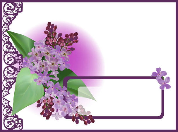 лиловая цветочная ветвь в украшенной рамке
 - Вектор,изображение