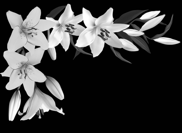 white and grey lily flower corner on black - ベクター画像