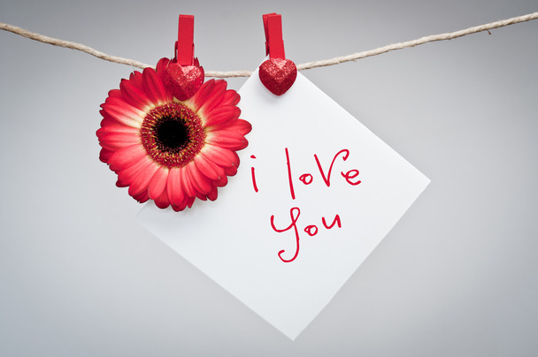 Corazón rojo y tarjeta en blanco
 - Foto, Imagen