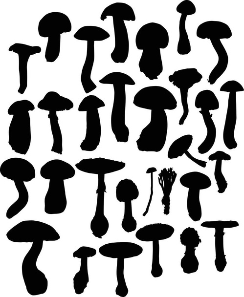 large group of isolated mushrooms silhouettes - Vector, Image