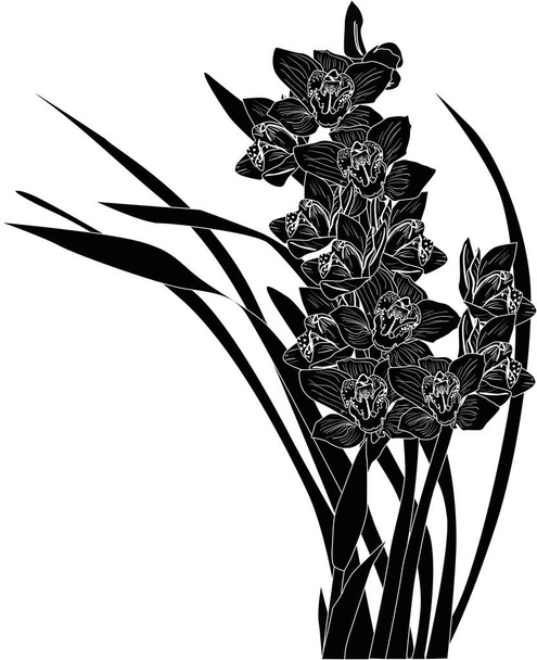 orchid flowers black sketch on white - Vector, Image