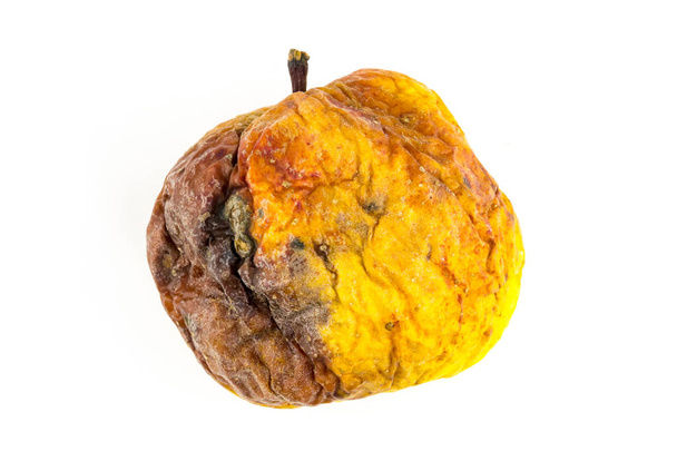 zepsute robaczywe żółte jabłko na białym tle izolat. gnicie owoc zwiękłej wygląd - Zdjęcie, obraz