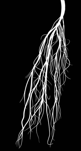 wit gematteerd wortel silhouet geïsoleerd op zwart - Vector, afbeelding