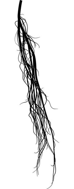 raíz enmarañada negra sobre blanco
 - Vector, Imagen