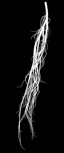 fehér matt root fekete - Vektor, kép