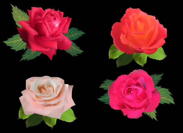 τέσσερα φωτεινά τριαντάφυλλα απομονωμένα σε μαύρο χρώμα  - Διάνυσμα, εικόνα
