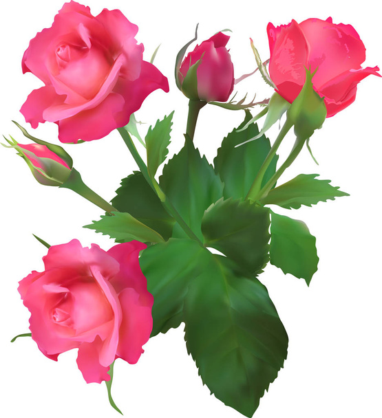three red isolated roses and two buds - Vector, Image