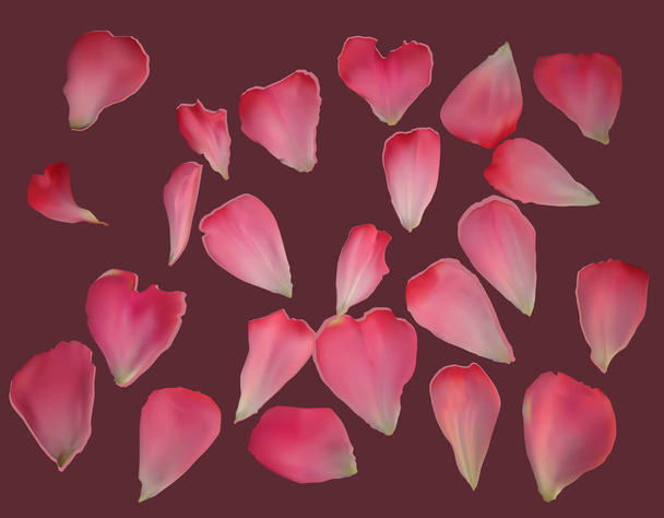 Rose petals Vectors & Illustrations for Free Download