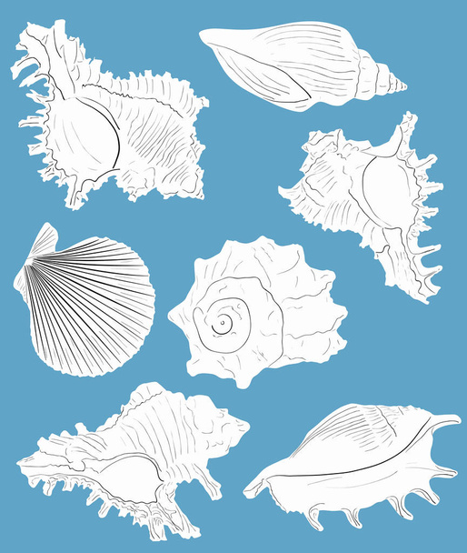 zeven shellvissen schetsen geïsoleerd op blauw - Vector, afbeelding