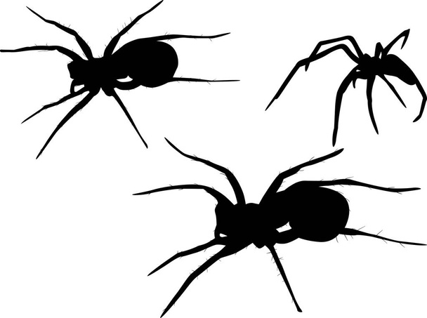 Üç izole siyah örümcek çizimi - Vektör, Görsel