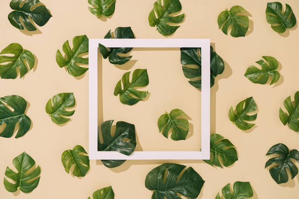 Minimal sunlit nature pattern with monstera leaves and shadows with paper frame on sandy color background. creative summer concept  - Foto, imagen