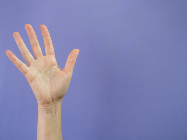 Mano con cinco dedos levantados sobre fondo púrpura y copia spa
 - Foto, imagen