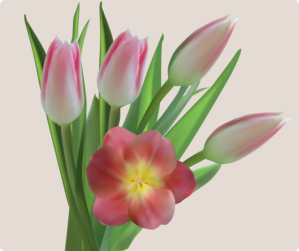 ramo de flores de tulipanes rosas
 - Vector, imagen