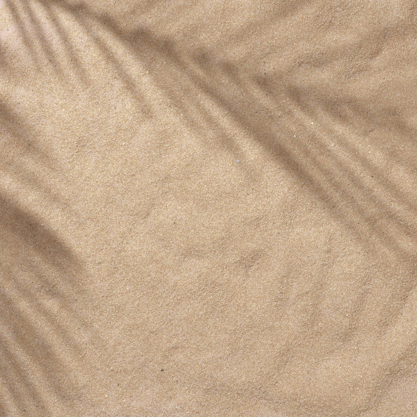 Escena diurna de playa de verano con hojas de palma tropical sombras sobre fondo de arena. Disposición mínima de la puesta plana tropical de la luz solar
  - Foto, imagen
