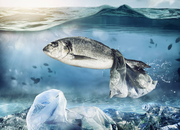 Peixe preso por um saco flutuante. Problema da poluição plástica sob o conceito de mar
 - Foto, Imagem