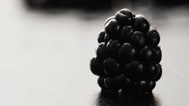 Close-up of one blackberry isolated on grey background. - Photo, Image