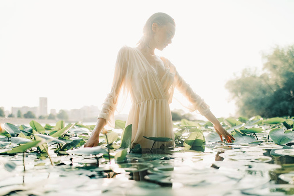 Młoda kobieta stojąca w wodzie wśród żółtej wody-lilia. - Zdjęcie, obraz