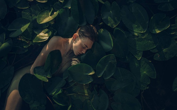 Mujer joven acostada en el agua entre las hojas de lirio de agua
. - Foto, Imagen