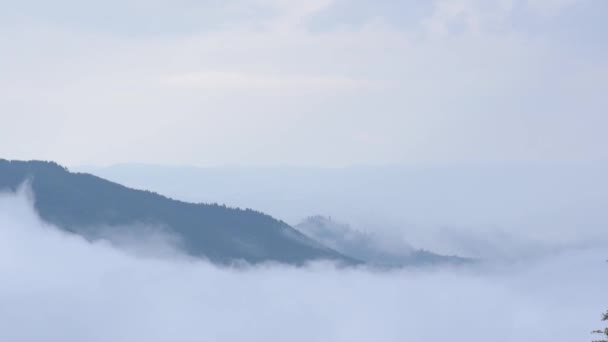 Nebelkarpaten nach einem Gewitter - Filmmaterial, Video
