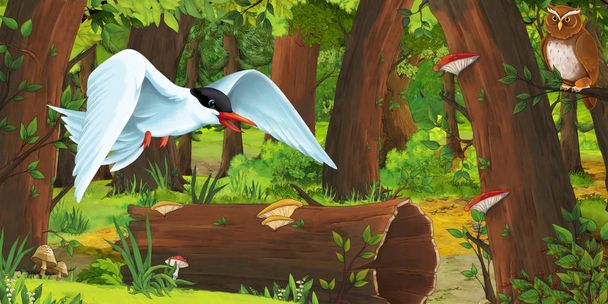 cartoon summer scene with deep forest and birds owls and some other bird - nobody on scene - illustration for children - Фото, изображение